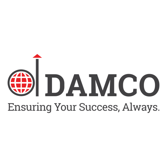 Damco Solutions logo