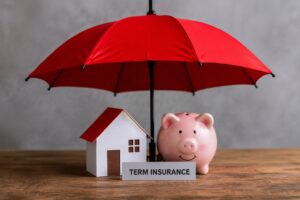 what-are-examples-of-term-insurance